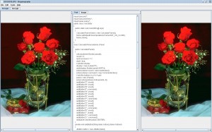[Image: Image-Steganography-Java-Project-Source-...00x187.jpg]