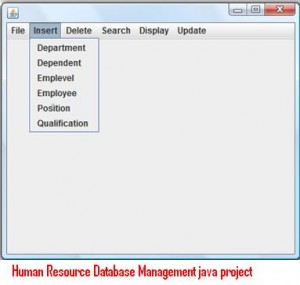 Human-Resource-Database-Management-java-project