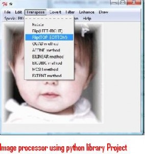 Image-processor-using-python-library-Project