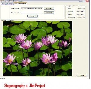 Steganography-a -Net-Project