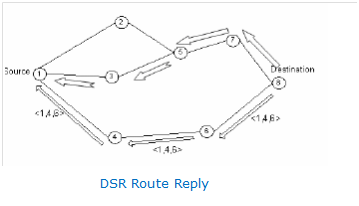 DSR Route Reply