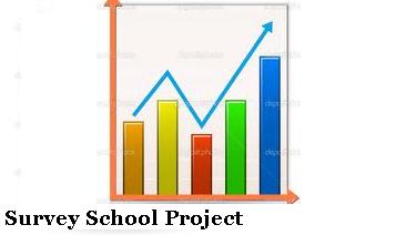 Survey School Project